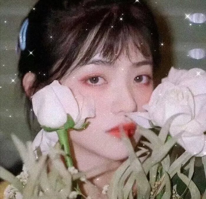 加州玩偶