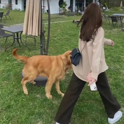 最佳合伙人